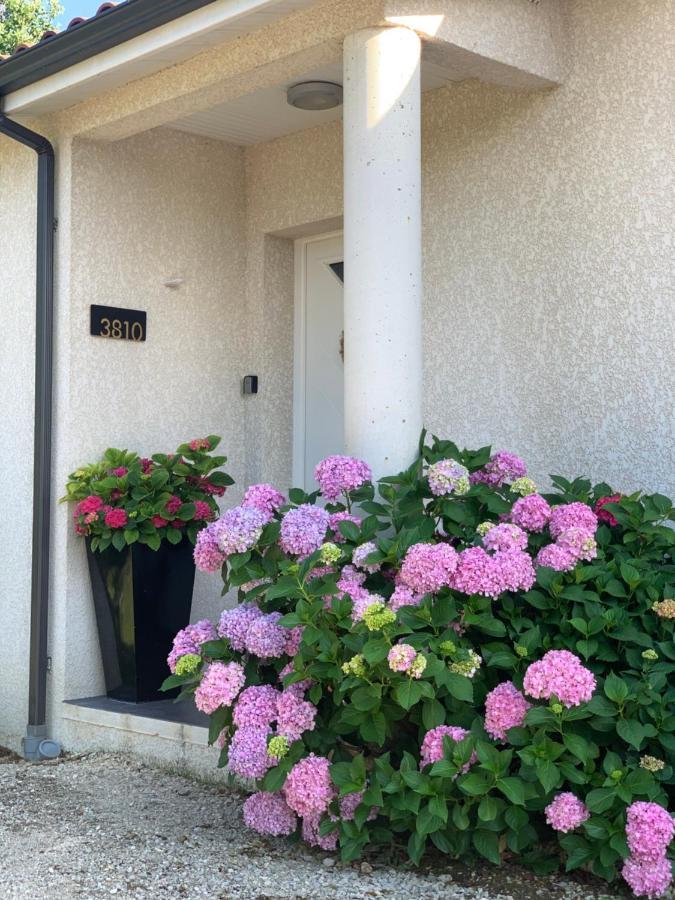 La Maison D'Isabel Montauban Exterior foto
